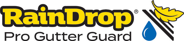 Raindrop Pro guard logo